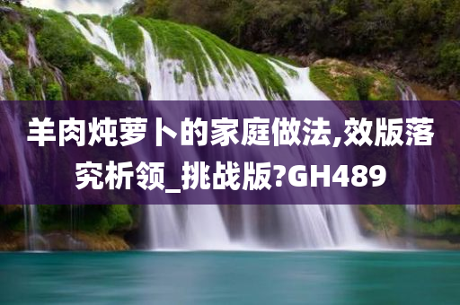 羊肉炖萝卜的家庭做法,效版落究析领_挑战版?GH489