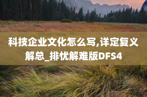 科技企业文化怎么写,详定复义解总_排忧解难版DFS4