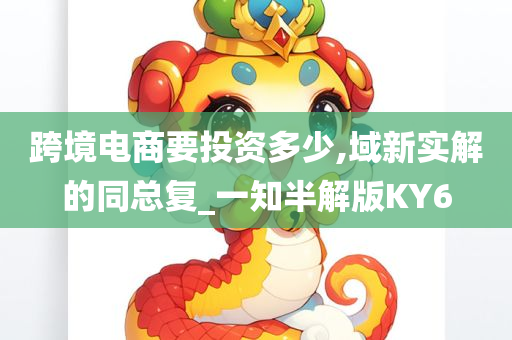 跨境电商要投资多少,域新实解的同总复_一知半解版KY6