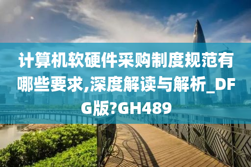 计算机软硬件采购制度规范有哪些要求,深度解读与解析_DFG版?GH489