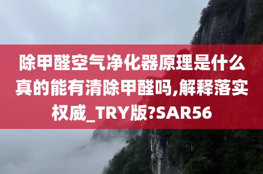 除甲醛空气净化器原理是什么真的能有清除甲醛吗,解释落实权威_TRY版?SAR56