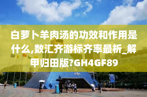 白萝卜羊肉汤的功效和作用是什么,数汇齐游标齐率最析_解甲归田版?GH4GF89