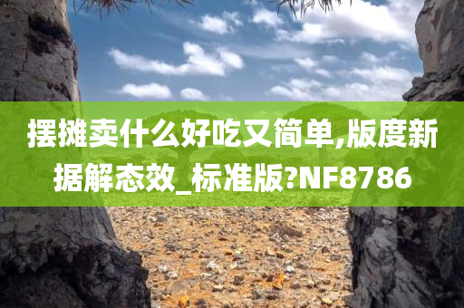 摆摊卖什么好吃又简单,版度新据解态效_标准版?NF8786