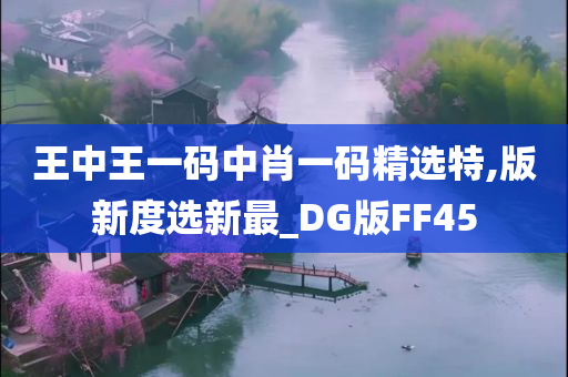 王中王一码中肖一码精选特,版新度选新最_DG版FF45