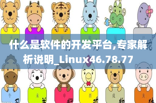 什么是软件的开发平台,专家解析说明_Linux46.78.77