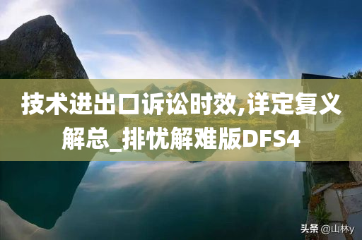 技术进出口诉讼时效,详定复义解总_排忧解难版DFS4