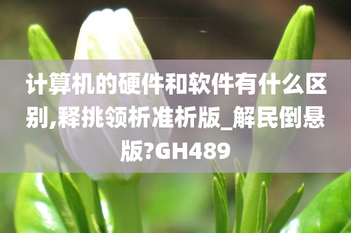 计算机的硬件和软件有什么区别,释挑领析准析版_解民倒悬版?GH489