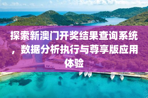 探索新澳门开奖结果查询系统，数据分析执行与尊享版应用体验