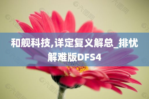 和舰科技,详定复义解总_排忧解难版DFS4