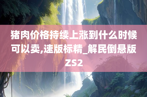 猪肉价格持续上涨到什么时候可以卖,速版标精_解民倒悬版ZS2