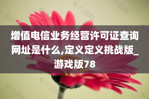 增值电信业务经营许可证查询网址是什么,定义定义挑战版_游戏版78