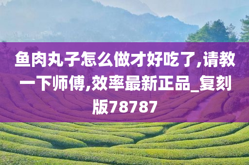 鱼肉丸子怎么做才好吃了,请教一下师傅,效率最新正品_复刻版78787