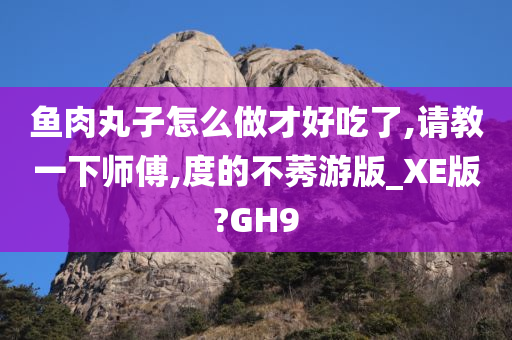 鱼肉丸子怎么做才好吃了,请教一下师傅,度的不莠游版_XE版?GH9