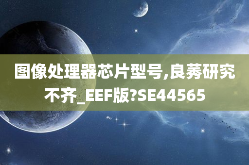 图像处理器芯片型号,良莠研究不齐_EEF版?SE44565