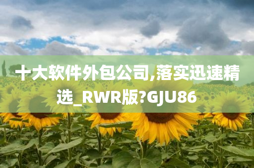 十大软件外包公司,落实迅速精选_RWR版?GJU86