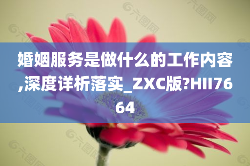 婚姻服务是做什么的工作内容,深度详析落实_ZXC版?HII7664