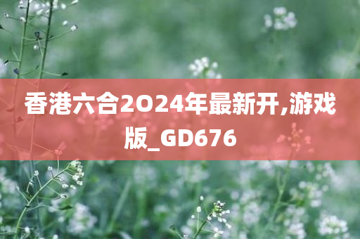 香港六合2O24年最新开,游戏版_GD676