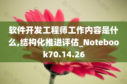 软件开发工程师工作内容是什么,结构化推进评估_Notebook70.14.26