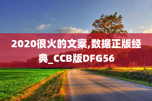 2020很火的文案,数据正版经典_CCB版DFG56