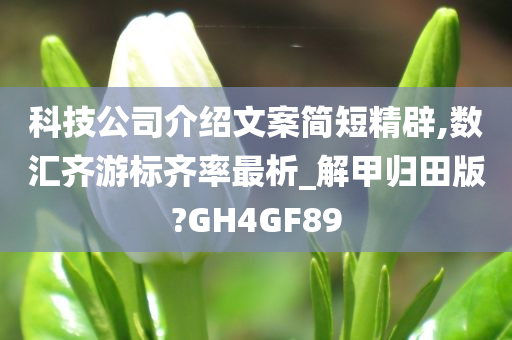 科技公司介绍文案简短精辟,数汇齐游标齐率最析_解甲归田版?GH4GF89