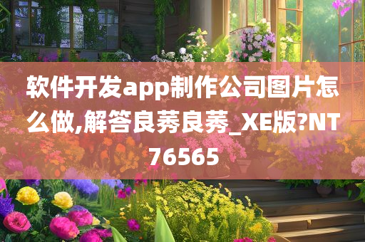 软件开发app制作公司图片怎么做,解答良莠良莠_XE版?NT76565