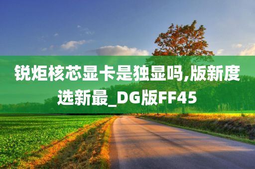 锐炬核芯显卡是独显吗,版新度选新最_DG版FF45