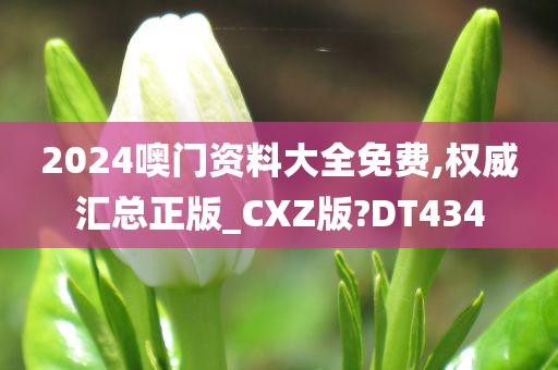 2024噢门资料大全免费,权威汇总正版_CXZ版?DT434