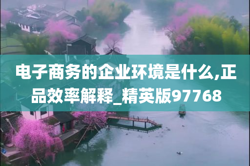 电子商务的企业环境是什么,正品效率解释_精英版97768