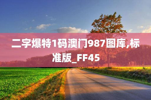 二字爆特1码澳门987图库,标准版_FF45