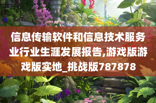 信息传输软件和信息技术服务业行业生涯发展报告,游戏版游戏版实地_挑战版787878