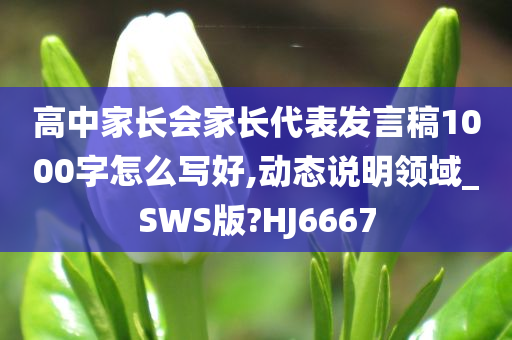 高中家长会家长代表发言稿1000字怎么写好,动态说明领域_SWS版?HJ6667