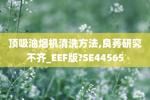 顶吸油烟机清洗方法,良莠研究不齐_EEF版?SE44565