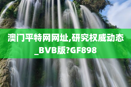 澳门平特网网址,研究权威动态_BVB版?GF898