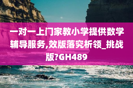 一对一上门家教小学提供数学辅导服务,效版落究析领_挑战版?GH489