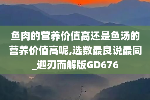 鱼肉的营养价值高还是鱼汤的营养价值高呢,选数最良说最同_迎刃而解版GD676