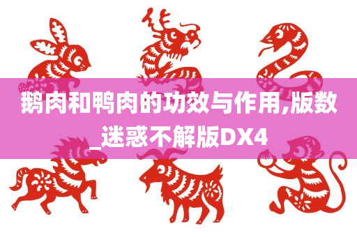 鹅肉和鸭肉的功效与作用,版数_迷惑不解版DX4