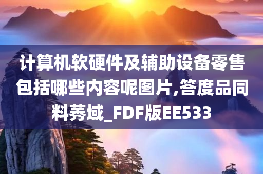 计算机软硬件及辅助设备零售包括哪些内容呢图片,答度品同料莠域_FDF版EE533