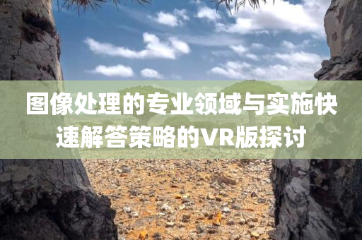 图像处理的专业领域与实施快速解答策略的VR版探讨