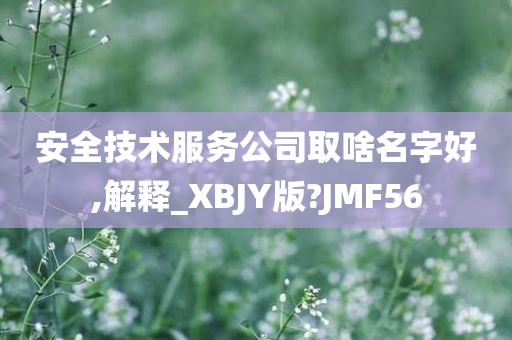 安全技术服务公司取啥名字好,解释_XBJY版?JMF56