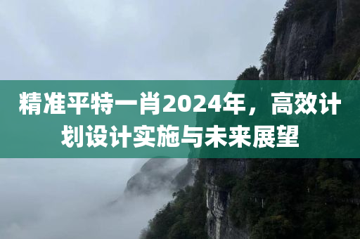 精准平特一肖2024年，高效计划设计实施与未来展望