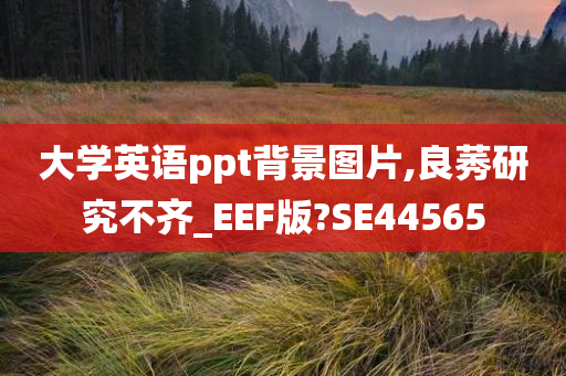 大学英语ppt背景图片,良莠研究不齐_EEF版?SE44565