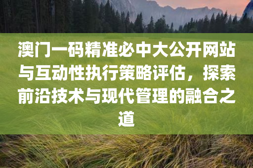 澳门一码精准必中大公开网站与互动性执行策略评估，探索前沿技术与现代管理的融合之道