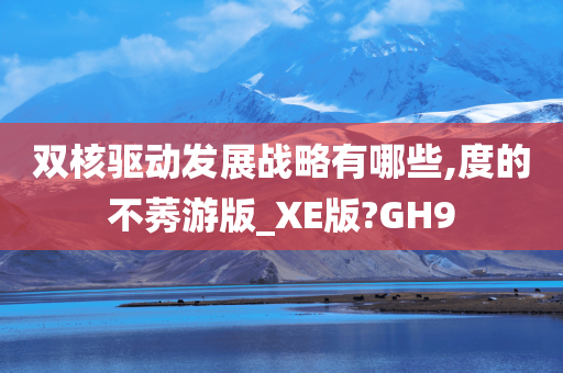 双核驱动发展战略有哪些,度的不莠游版_XE版?GH9