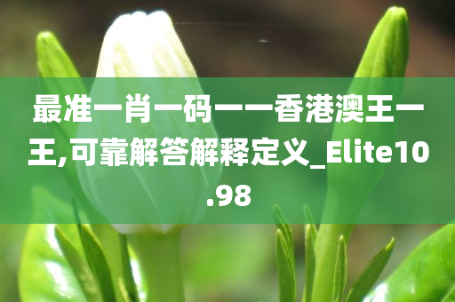 最准一肖一码一一香港澳王一王,可靠解答解释定义_Elite10.98