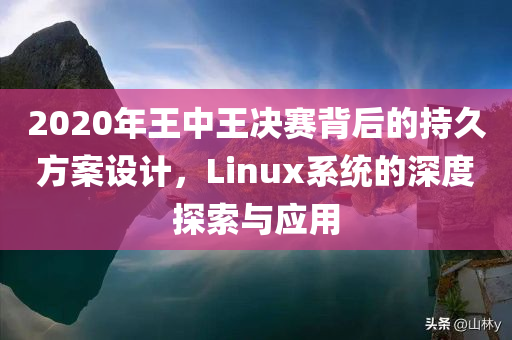 2020年王中王决赛背后的持久方案设计，Linux系统的深度探索与应用