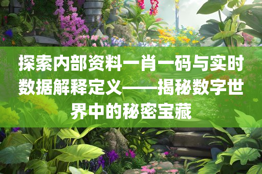 探索内部资料一肖一码与实时数据解释定义——揭秘数字世界中的秘密宝藏