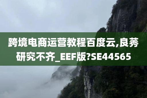 跨境电商运营教程百度云,良莠研究不齐_EEF版?SE44565