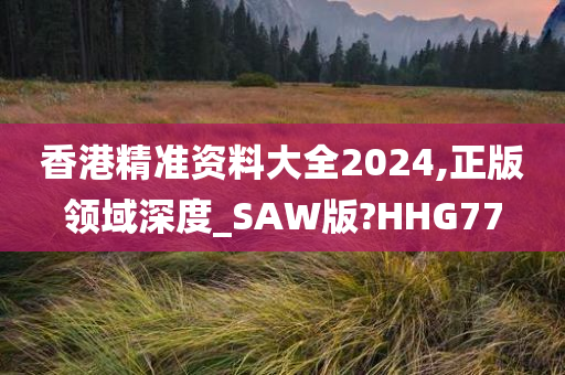 香港精准资料大全2024,正版领域深度_SAW版?HHG77