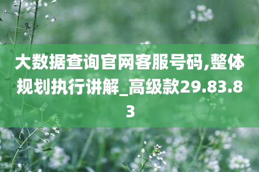 大数据查询官网客服号码,整体规划执行讲解_高级款29.83.83