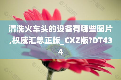 CXZ正版